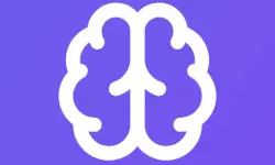 Memory Match Lite