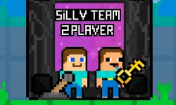Silly Team 2 Player