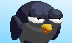 Pigeons Pigeons