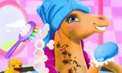 Fairy Pony Caring Adventure