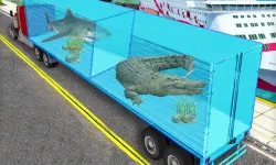 Transport Sea Animal