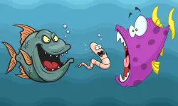 Angry Fish Coloring