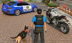 Police Car Chace