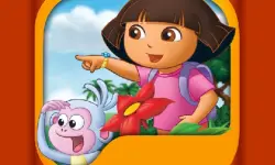 Dora Memory Challenge
