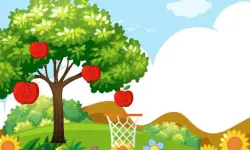 Hoops & Fruits