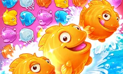 Shell Splash