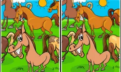 Animals Differences