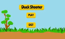 Duck Shooting