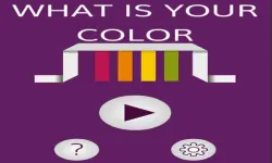 What is your color