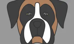 Doggy Face Coloring