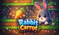 Rabbit Carrot