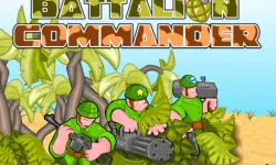 Battalion Commander