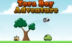 Tora Boy Adventure