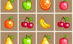 LOF Fruits Puzzles