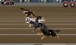 Crazy Dog Racing Simulator Games 3D