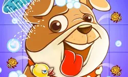 Animal Daycare Pet Vet