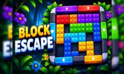 Blockibo: Color Blocks