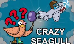 Crazy Seagull