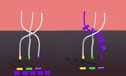 Twisted Rods