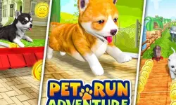 Pet Run Adventure Puppy Run