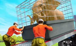 Cargo Truck: Transport & Hunt