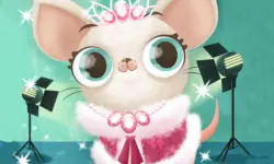Hollywood Fashion Pets