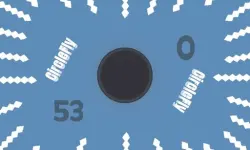 CircleFly
