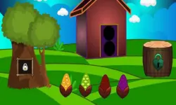 Toco Toucan Escape