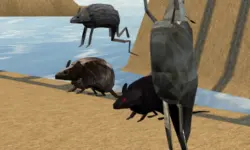Mouse Race Islands