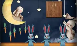 Amgel Bunny Room Escape 2