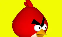 3D Floating Bird