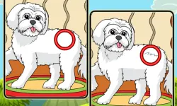 Dogs Spot The Differences 2