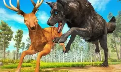 Wolf Simulator Forest Hunt 3D