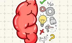Brain Tricky Puzzles