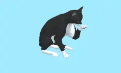 Cat Escape: Play hungry cat