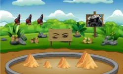 Find the Ostrich tag