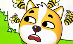 Save The Doge Game