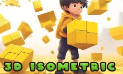3d Puzzle