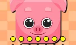 Funny Animal Faces