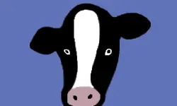 Paint Cow