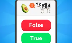 True False - Quiz