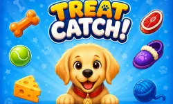 Treat Catch