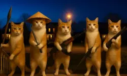 Cat with a Gun Clicker Evolution