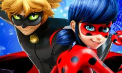 Miraculous Ladybug Slide