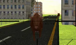 Angry Bull Attack