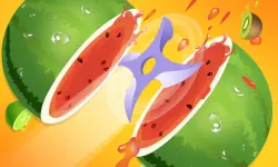Fruit Slicer Classic