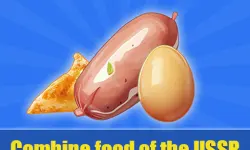 Combine food of the USSR
