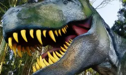 King of the Dinosaurs Puzzle