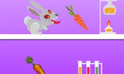 Rabid Rabbit