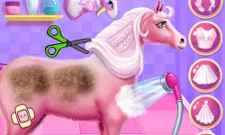 Princess Horse Caring